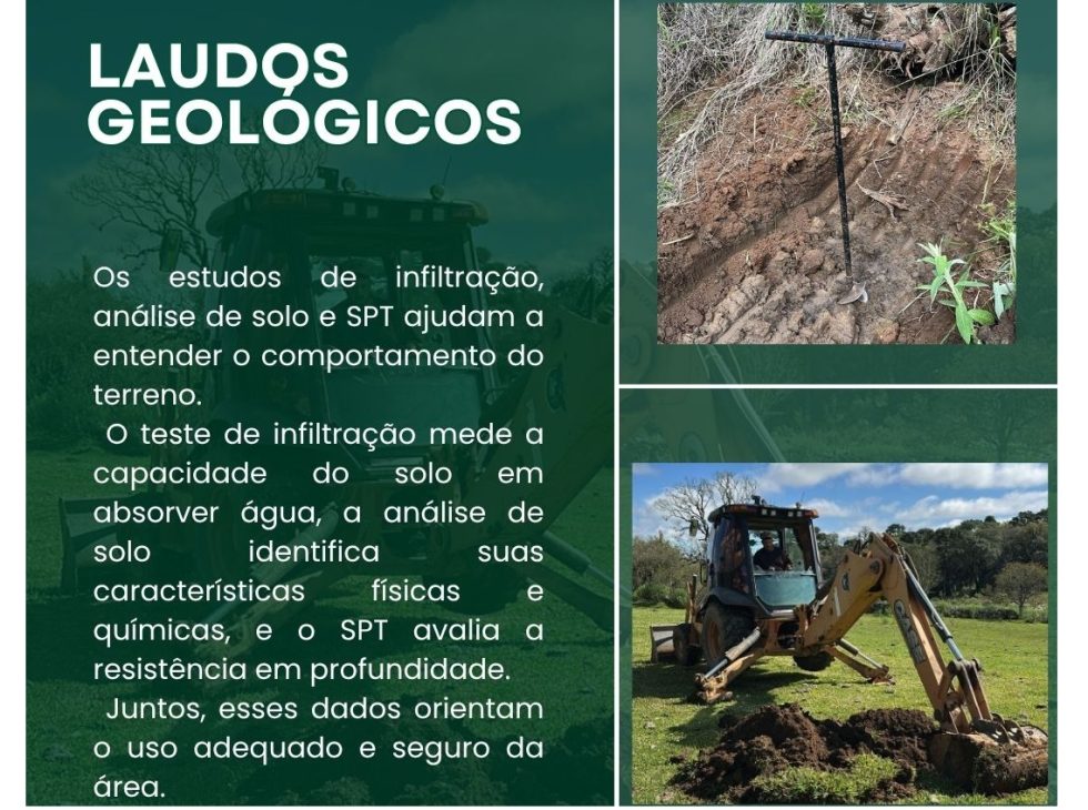 laudo site